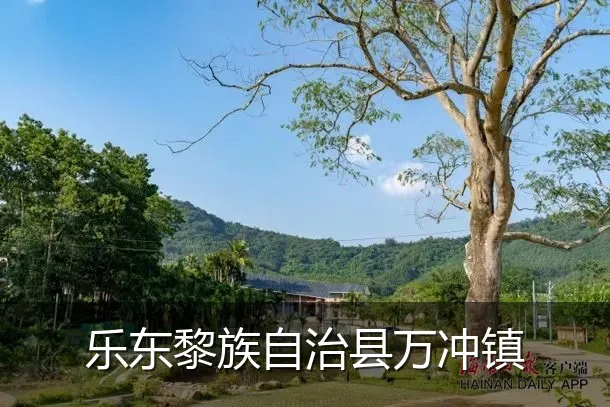 乐东黎族自治县万冲镇