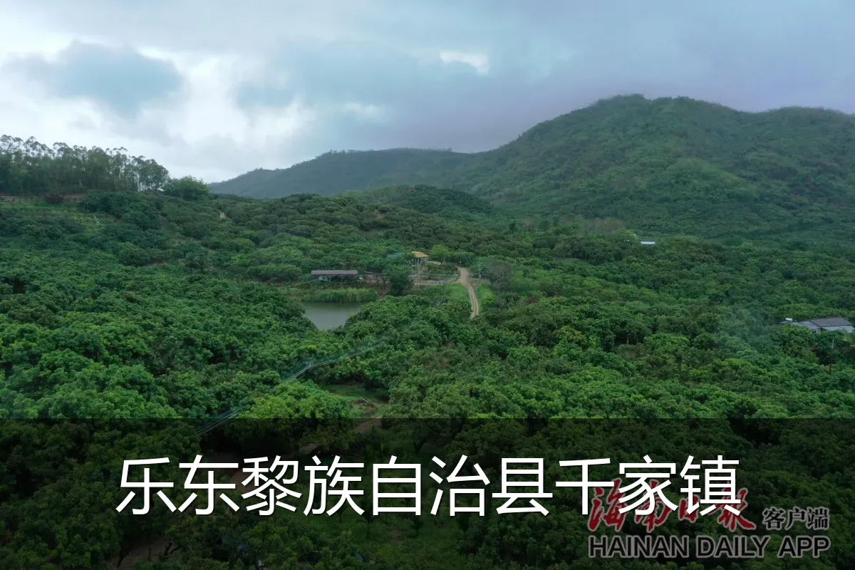 乐东黎族自治县千家镇