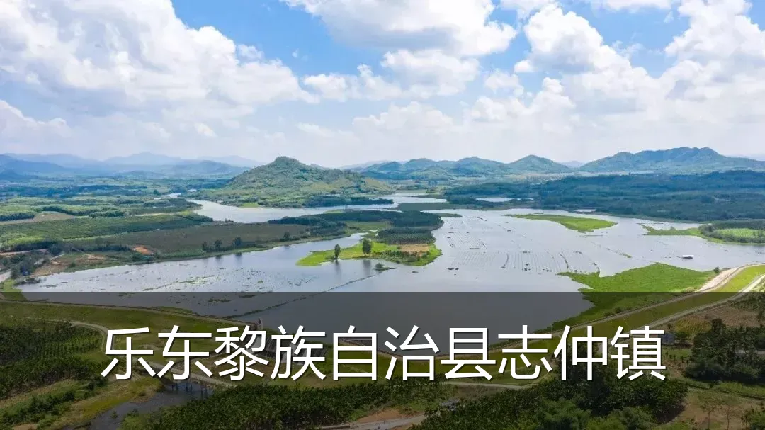 乐东黎族自治县志仲镇